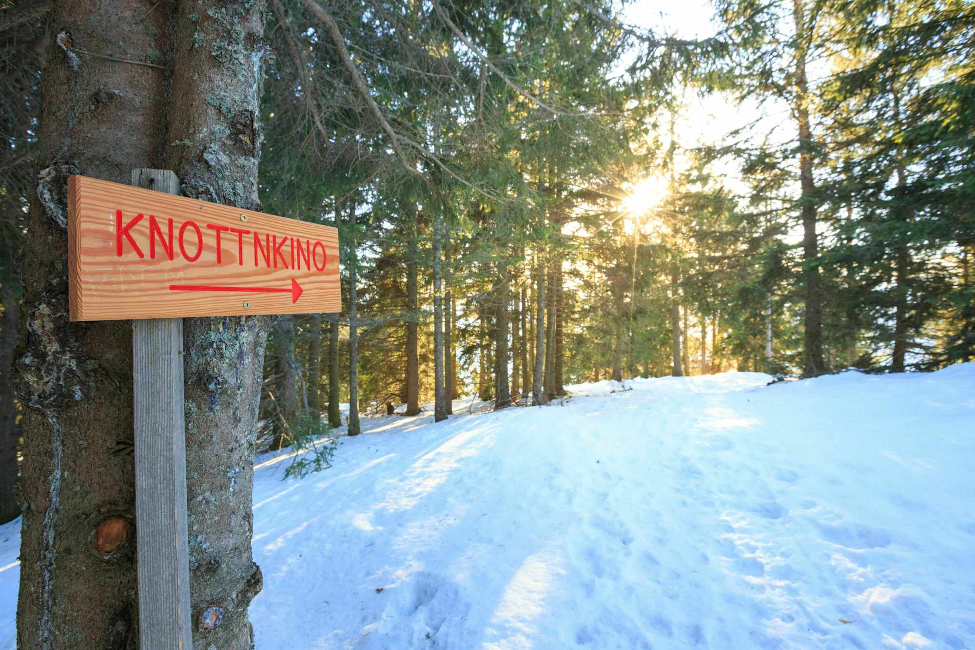 Zum Knottnkino